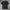 Calvin Klein Script Tee photo 2