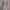 Luxury Evening dress Wanita pink photo 5