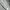Carhartt Streetwear Fleece Pria silver gray photo 2
