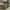 Parachute wide balloon cargo pants photo 2