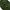 Parachute wide balloon cargo pants photo 7