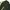 Parachute wide balloon cargo pants photo 6