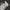 Nike Lolita Indie Sneakers Pria white black photo 5