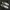 Nike Lolita Indie Sneakers Pria white black photo 3