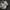Nike Lolita Indie Sneakers Pria white black photo 6