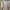 Polo Ralph Lauren Casual Sweater Pria tan photo 1