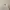 Polo Ralph Lauren Casual Sweater Pria tan photo 3