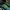 Nike Sportswear Casual Sneakers Pria green blue photo 2