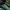Nike Sportswear Casual Sneakers Pria Green Blue