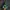 Nike Sportswear Casual Sneakers Pria green blue photo 1