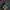 Nike Sportswear Casual Sneakers Pria Green Blue