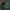Nike Sportswear Casual Sneakers Pria green blue photo 3