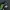 Nike Sportswear Casual Sneakers Pria green blue photo 5