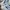 Adidas Indie Casual Sneakers Pria white navy photo 2