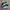 Adidas Emo Casual Sneakers Pria white green photo 1