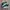 Adidas Emo Casual Sneakers Pria White Green