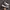 Nike Sportswear Indie Sneakers Pria white black photo 1