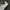 New Balance Sportswear Indie Sneakers Pria white black photo 5