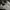 New Balance Sportswear Indie Sneakers Pria white black photo 2