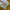 INSIGHT JEANS photo 4