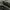Adidas Sportswear Indie Sneakers Pria black photo 4