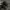 Adidas Sportswear Indie Sneakers Pria black photo 6