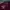 VAN Streetwear Casual Cardigan Pria burgundy photo 3