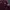VAN Streetwear Casual Cardigan Pria burgundy photo 4