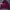 VAN Streetwear Casual Cardigan Pria burgundy photo 5