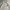 Off-White Streetwear Sweatshirt Pria white photo 4