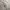 Dunlop Y2K Gorpcore Bomber jacket Pria white photo 3