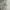 Dunlop Y2K Gorpcore Bomber jacket Pria white photo 6
