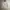 Dunlop Y2K Gorpcore Bomber jacket Pria white photo 1