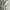 Dunlop Y2K Gorpcore Bomber jacket Pria white photo 2