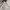 Dunlop Y2K Gorpcore Bomber jacket Pria white photo 4