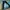 Adidas Vintage Luxury Legging Kids black photo 1