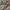 Japanese brand Streetwear Y2K Cami top Wanita multicolor photo 2