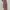 Sportswear Wanita multicolor photo 4