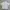 Nike Y2K Sportswear Polo shirt Pria white photo 2