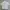 Nike Y2K Sportswear Polo shirt Pria white photo 1