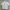Nike Y2K Sportswear Polo Shirt Pria White