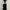 Casual Bodycon dress Wanita white black photo 1