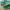 Adidas Casual Casual shoe Pria green photo 2