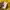 MLB Casual Sweater Pria yellow photo 4