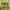 Guess Streetwear Indie Hoody Pria yellow photo 2