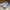 New Balance Casual Sneakers Pria silver gray photo 3