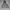 Adidas Vintage Hoody Pria gray photo 1