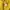 Beverly Hills Polo Club Casual Polo shirt Pria yellow photo 3