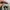 Adidas Casual Sneakers Pria multicolor photo 5