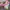 Japanese brand Streetwear Y2K Crop top Wanita pink photo 3